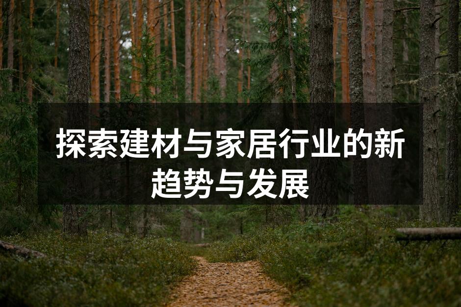 探索建材与家居行业的新趋势与发展