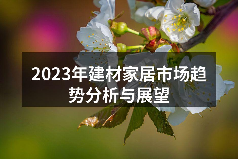 2023年建材家居市场趋势分析与展望